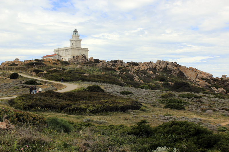2016-05-02_115850 sardinien-2016.jpg - Wanderung am Capo Test